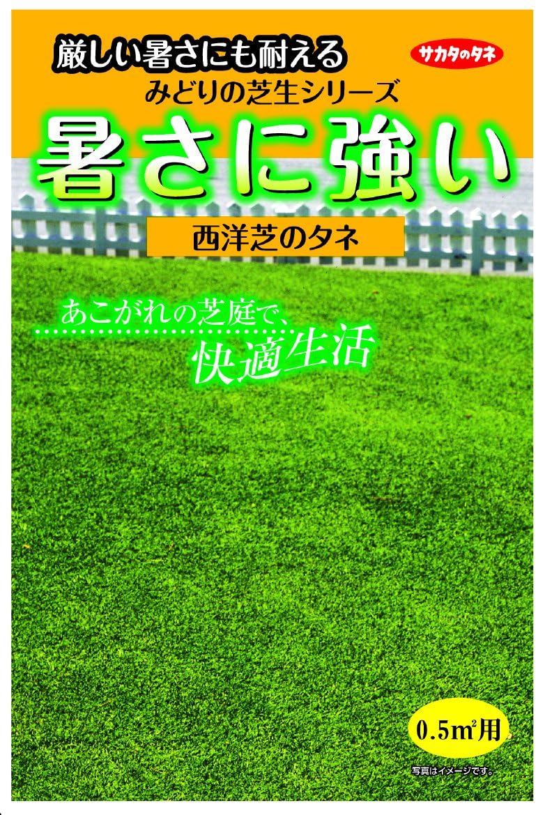 サカタのタネ みどりの芝生 暑さに強い西洋芝のタネ