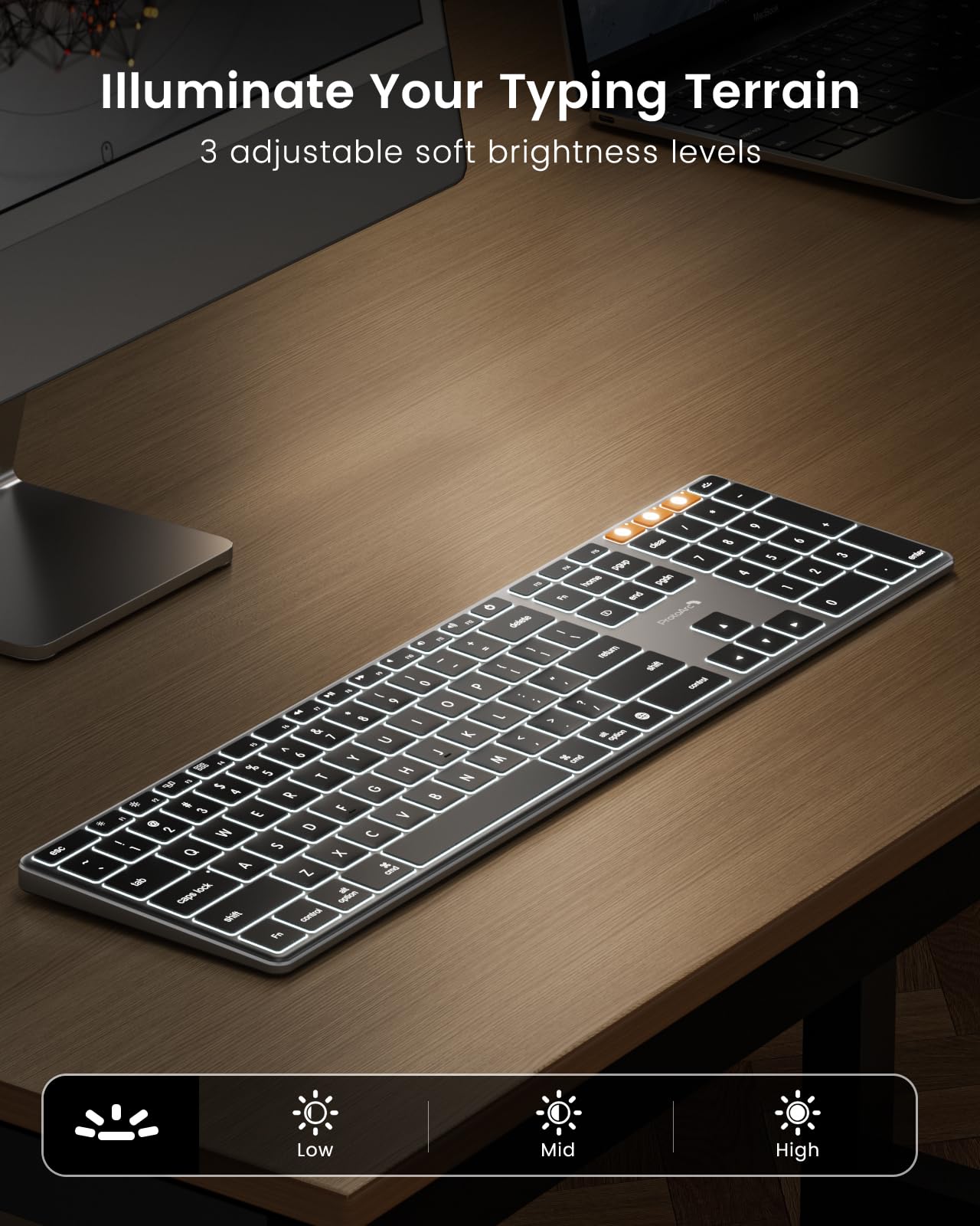 ProtoArc ProtoArc Backlit Wireless Keyboard for Mac, K110-A Aluminum Full Size Ultra Slim Bluetooth Keyboard for iPad, Multi-Device, Low Profile, Rechargeable, for MacBook Pro/Air, iMac, Mac mini, Space Gray in use