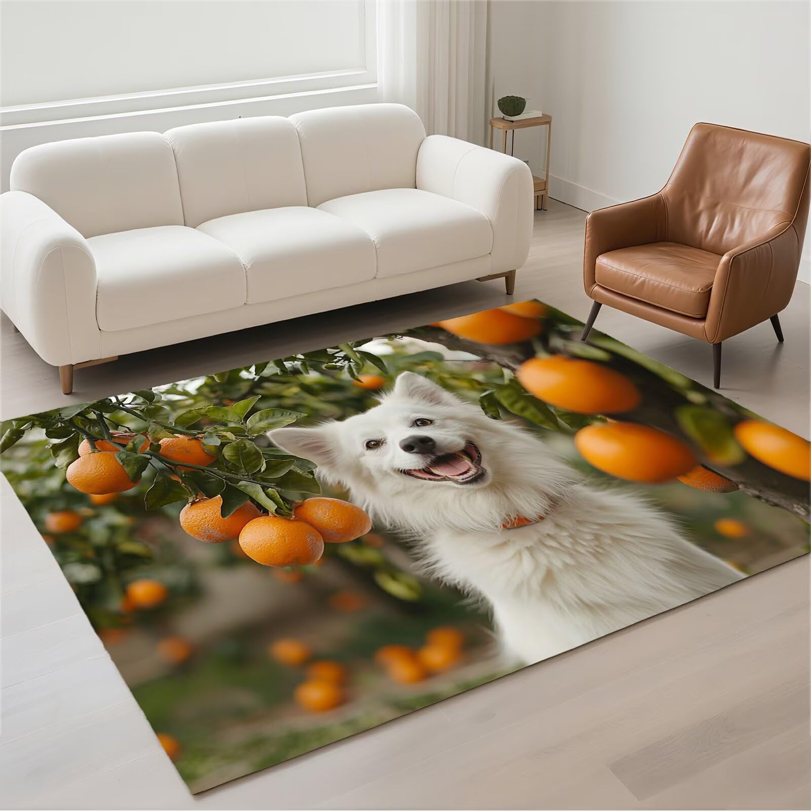 Grand tapis lavable en machine 120x180cm rectangulaire pour salon et chambre