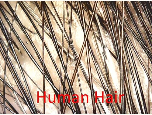 Miniatura 3 de AmScope Microscopio digital USB con zoom de 200X 2MP 8-LED con soporte de metal para Windows y Mac