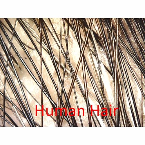 Miniatura 3 de AmScope Microscopio digital USB con zoom de 200X 2MP 8-LED con soporte de metal para Windows y Mac