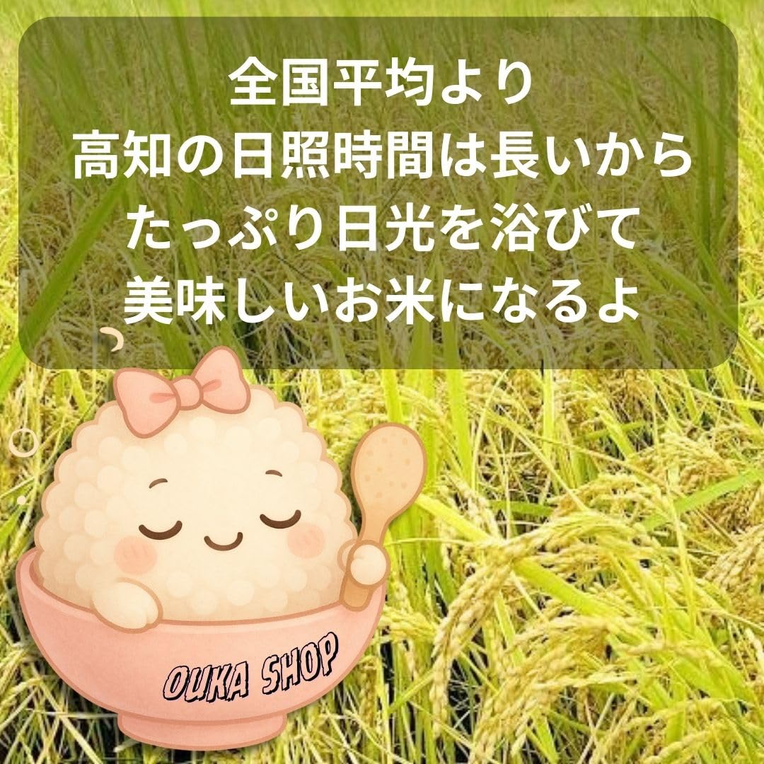 Amazon.co.jp: 2025 コシヒカリ 高知県産 令和7年 玄米30kg 高知