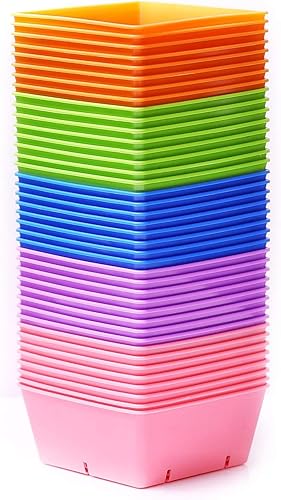 Miniatura 9 de Bootstrap Farmer 5 x 5 bandejas de semillas extra fuertes, paquete de 40 unidades, color negro, cultivo de microverdes, semillas de pasto de trigo,