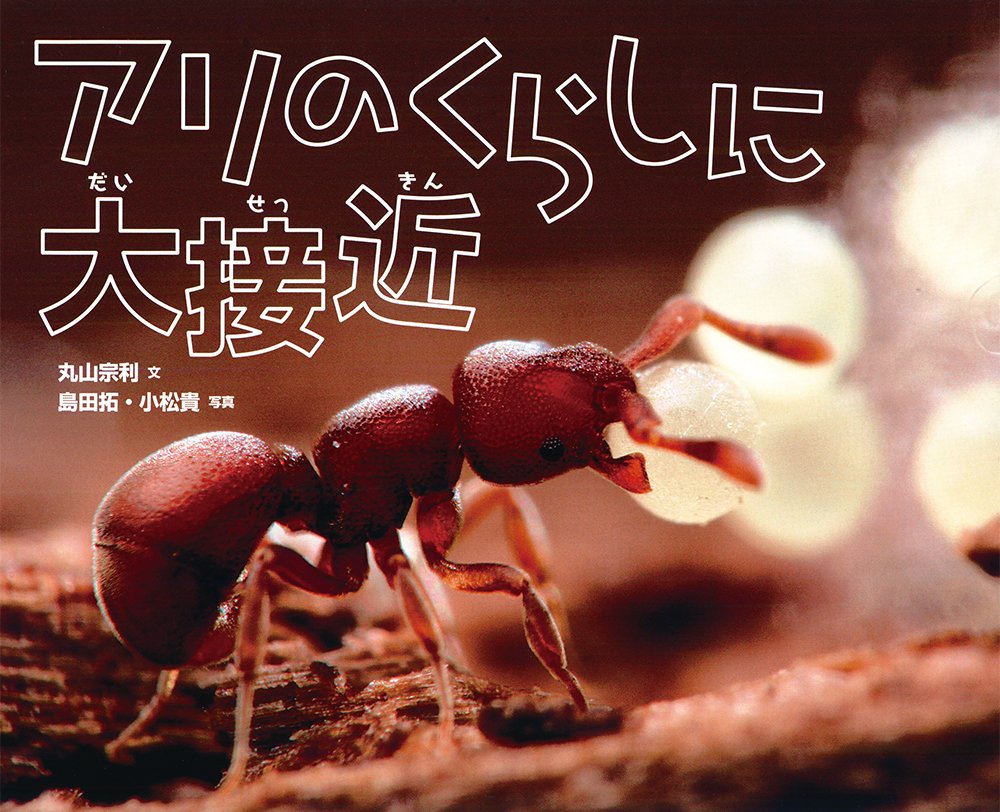 Amazon.co.jp: アリのくらしに大接近 : 丸山 宗利, 島田 拓, 小松 貴: 本