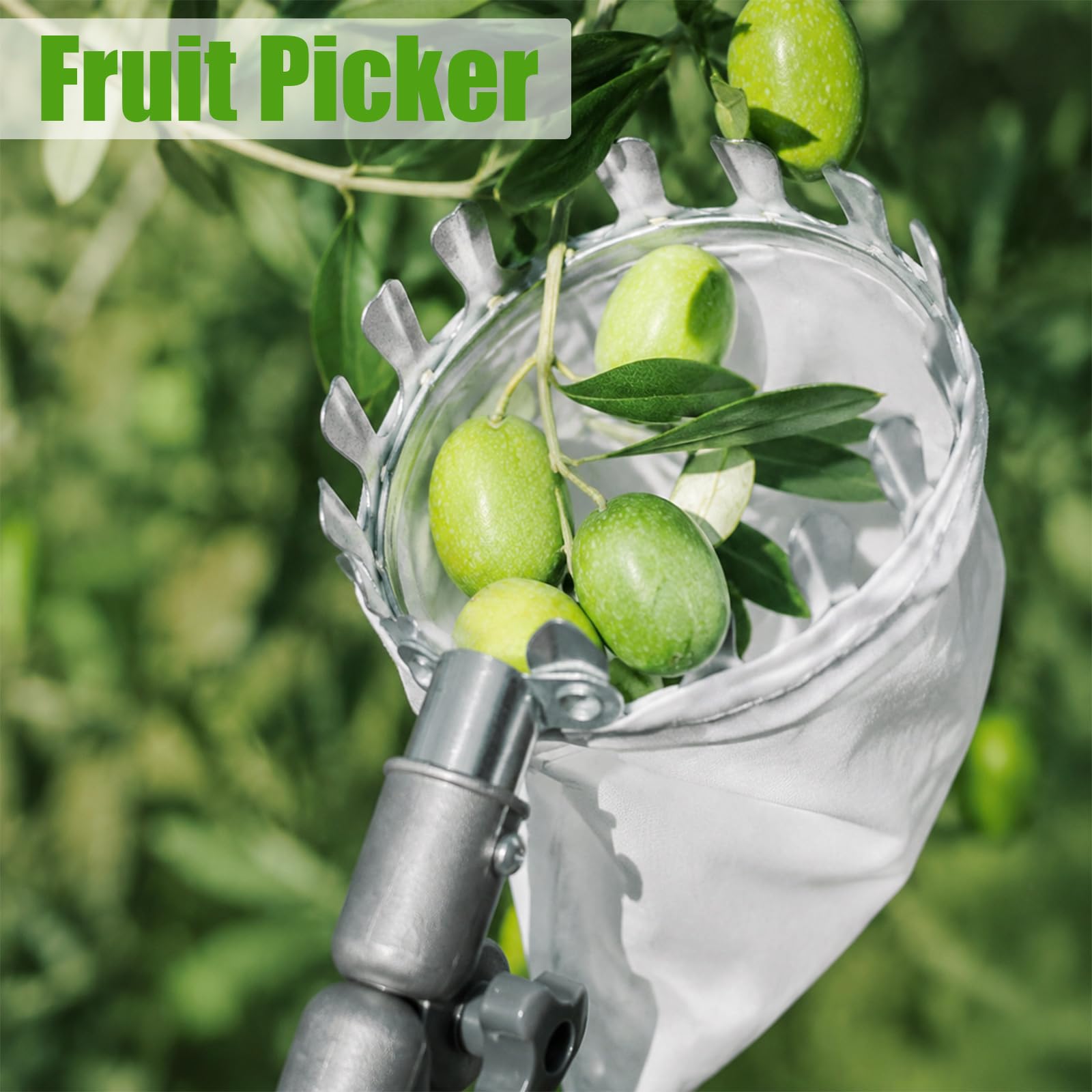 Raccogli frutta con asta di prolunga in acciaio inox, lunghezza regolabile fino a 3,8 m, diametro 16 cm, per prugne e ciliegie