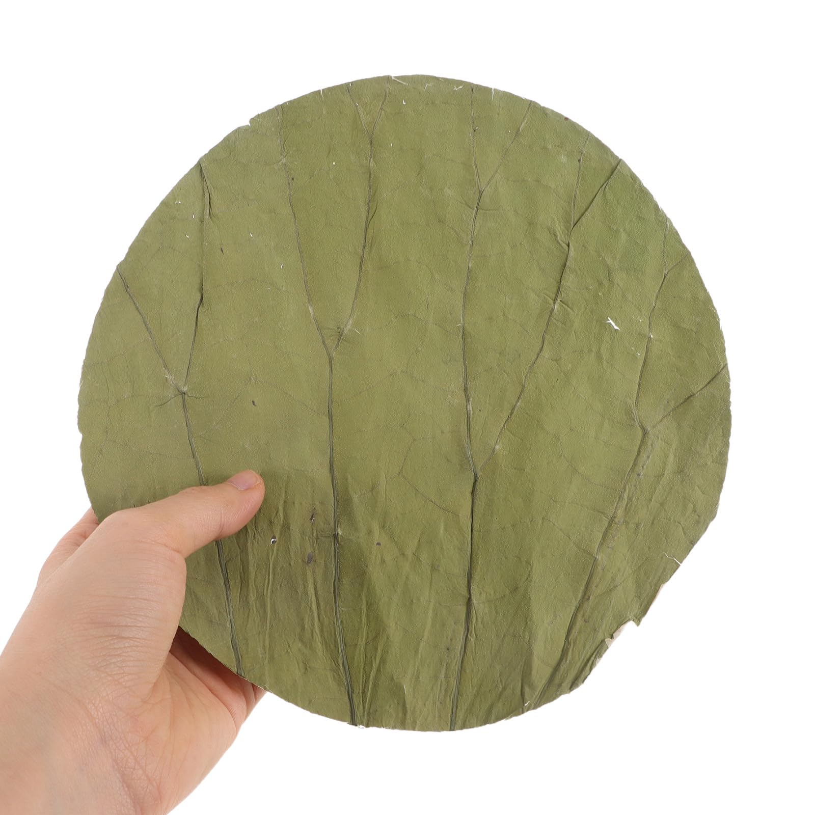 GARVALON Foglie di Loto Essiccate Rotonde di Rivestimento Naturale Affidabile e Sano 100 Pezzi per Sushi per Decorazioni e Preparazioni