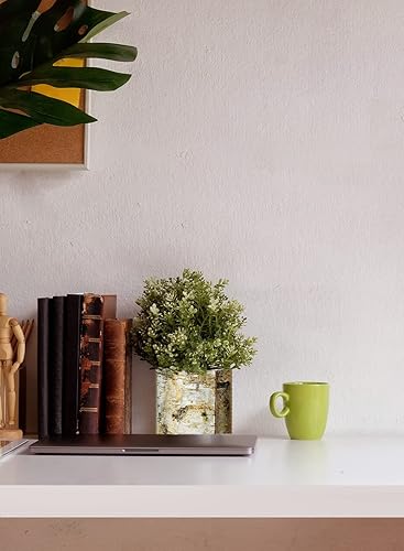 Miniatura 3 de Serene Spaces Living Jarrón grande de corteza de abedul blanco con interior de vidrio, centro de mesa decorativo, pieza de acento rústica, ideal