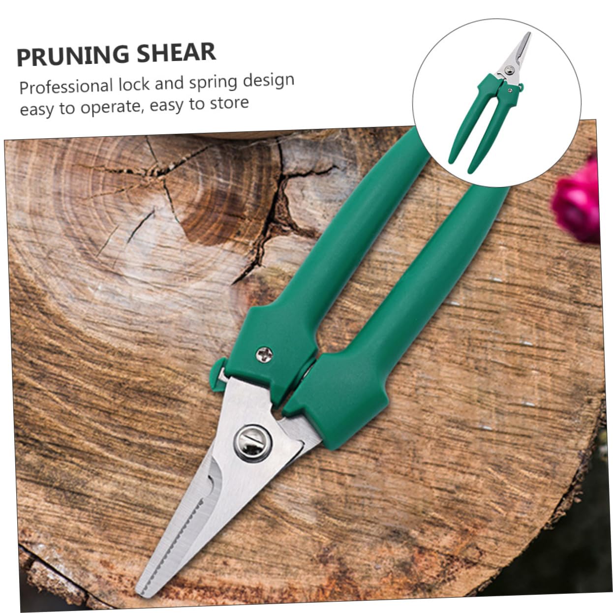 Toddmomy 3pezzi Cesoia Giardinaggio Inossidabile Antiscivolo Utensile Per Potatura e Garantita Per Potatura e