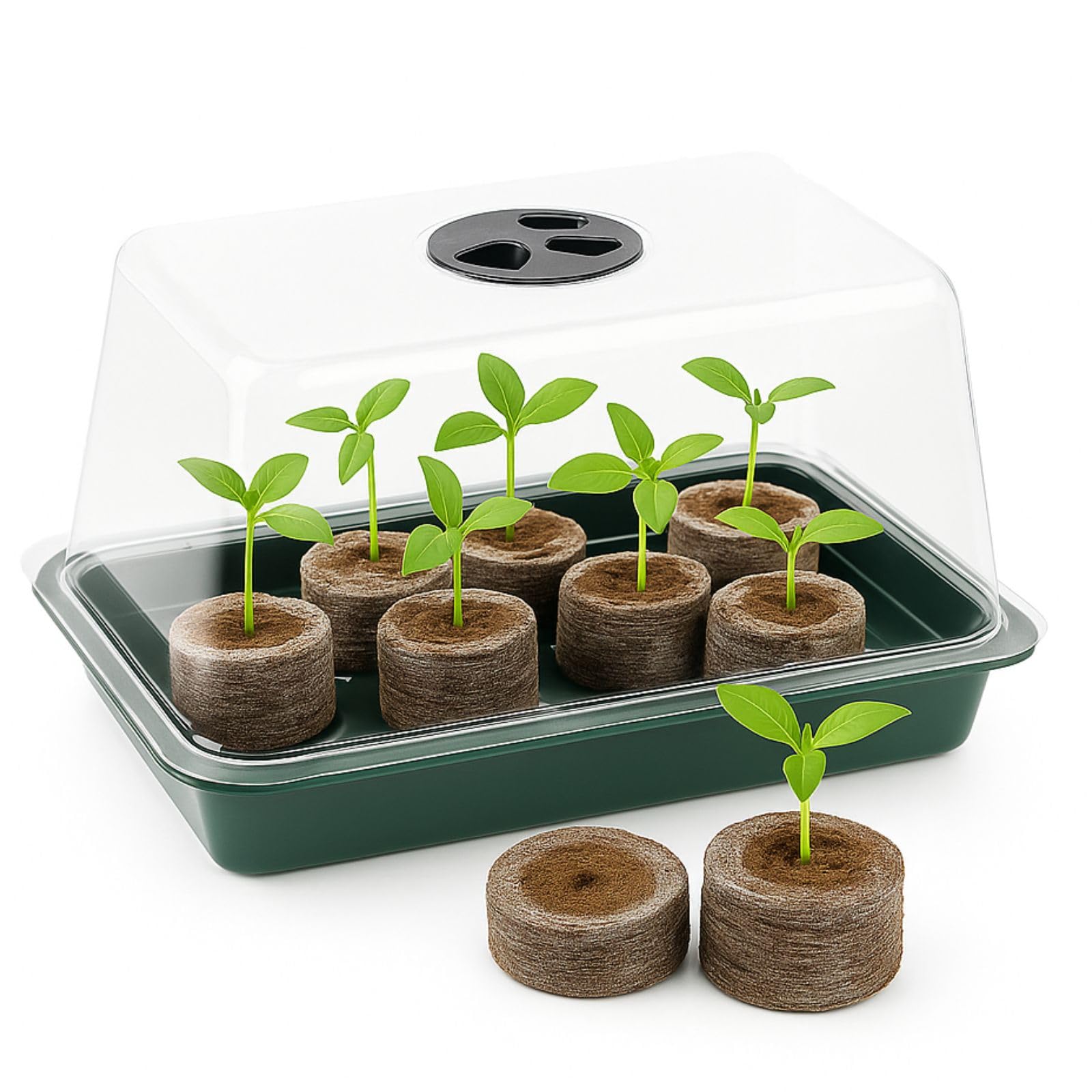 Weedness Jiffy® Torfquelltöpfe 500 STK. für die Anzucht - Kokos Quelltabletten Anzuchterde Blumenerde Aufzucht Kokoserde Aussaaterde Torftablette Tomaten Stecklinge