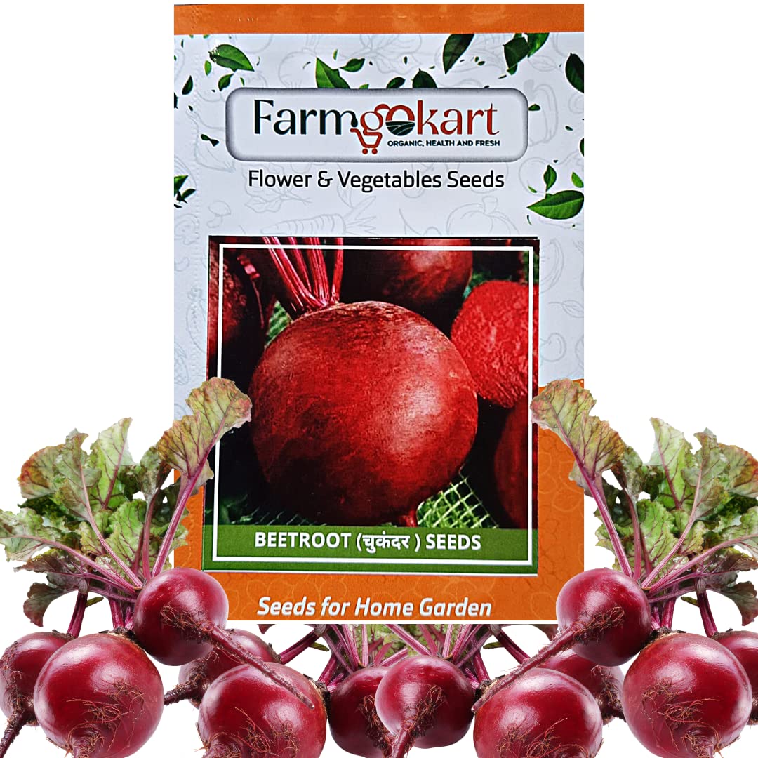 Farmgokart | BEET ROOT (Chukander) SEEDS | DARK RED | 200 Seeds Per Packet | Best Suitable For Home Gardening (B09Q5Z6CN1) Amazon Price History, Amazon Price Tracker