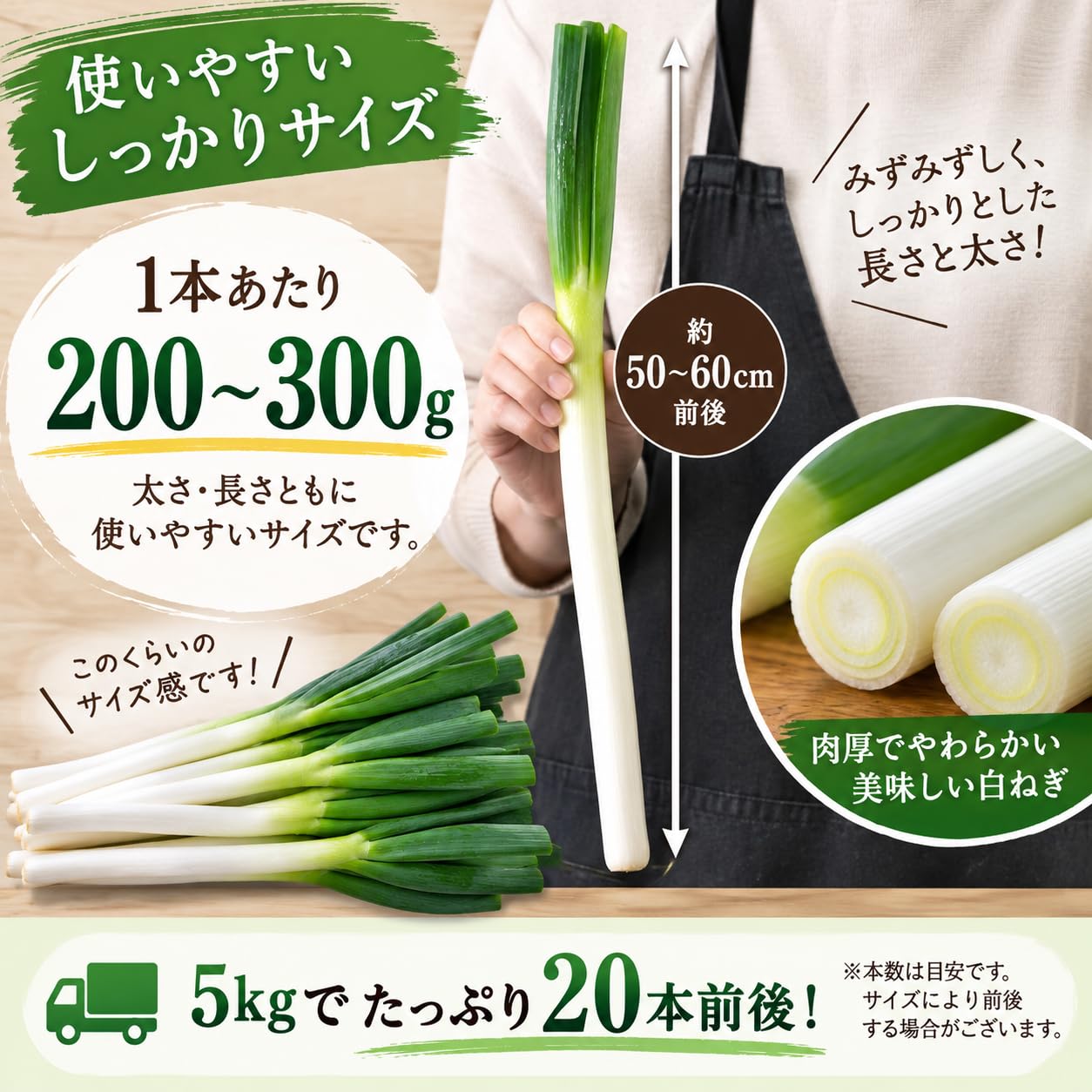 Amazon.co.jp: 【たっぷり大容量 5kg・10kg】新鮮 長ねぎ 選べる内容量