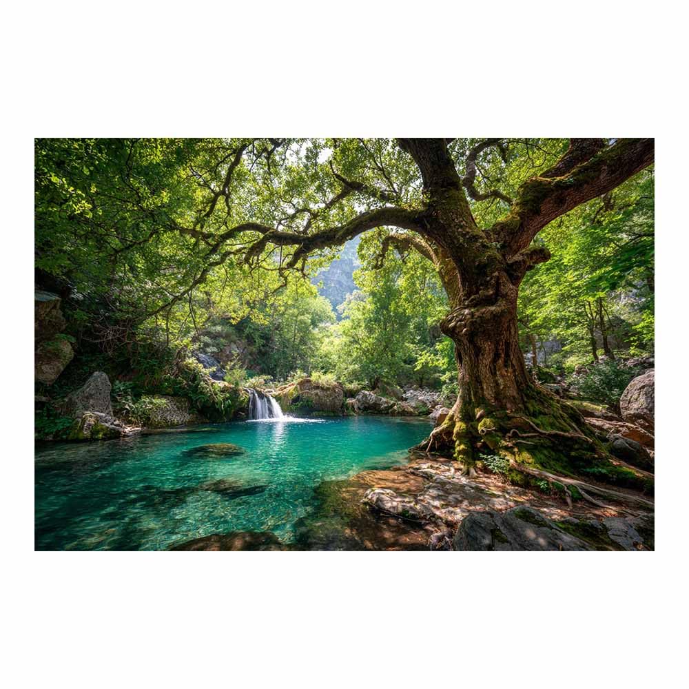 HOQIU Natural scenery wall art Tropical Forests s Waterfall decorative painting, wall art, for Living Room Bathroom Bedroom Kitchen Decoration.(Multicolor)-30x40cm Unframed