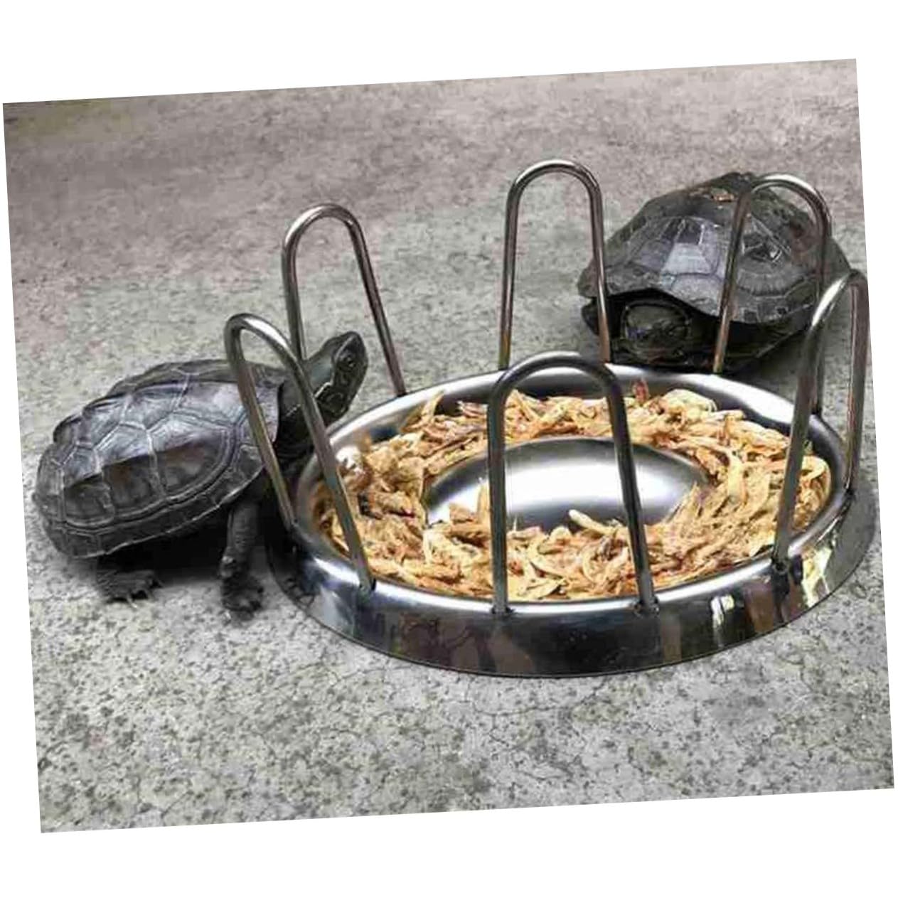 SUPVOX Ciotola per Tartaruga in Acciaio Inossidabile Ciotola per Rettili Mangiatoia Rotonda Forniture per Animali Domestici