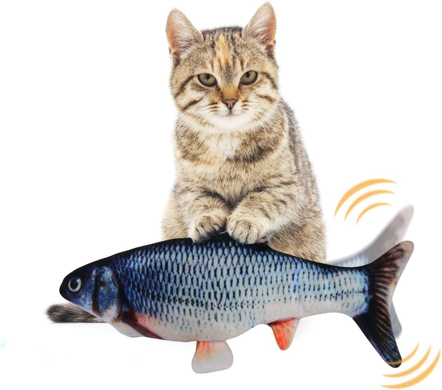 farina di pesce per polli