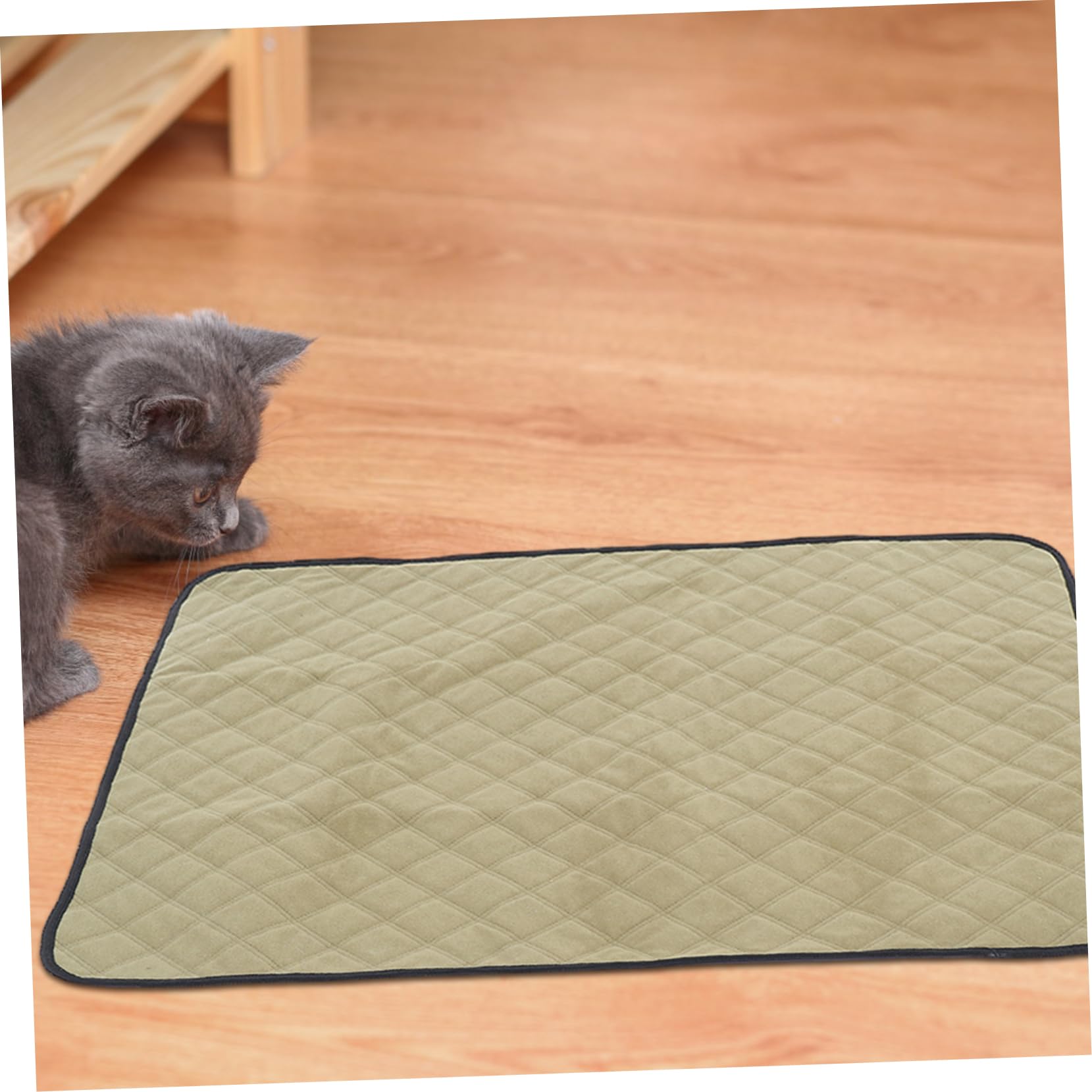 2pezzi Tappetini Assorbenti Per Lavabili Tappetini Riutilizzabili Per Addestramento Dei e Impermeabili Per Animali Domestici