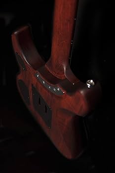 Amazon.com: Washburn 6 String Solid-Body Electric Guitar, Padauk