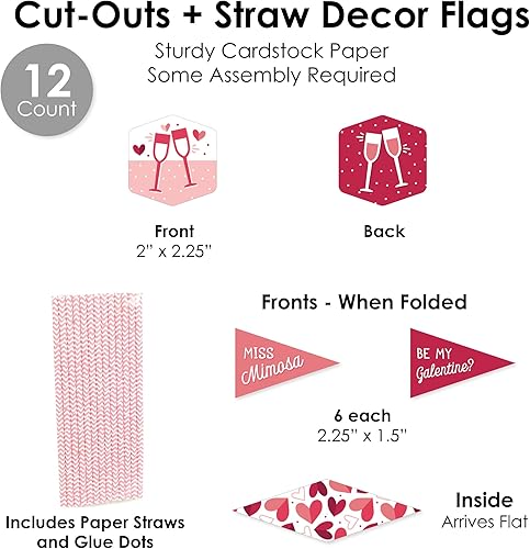 Miniatura 7 de Big Dot of Happiness Happy Galentine's Day - Letreros de barra de mimosa para fiesta del día de San Valentín, kit de decoración de barra de bebidas,