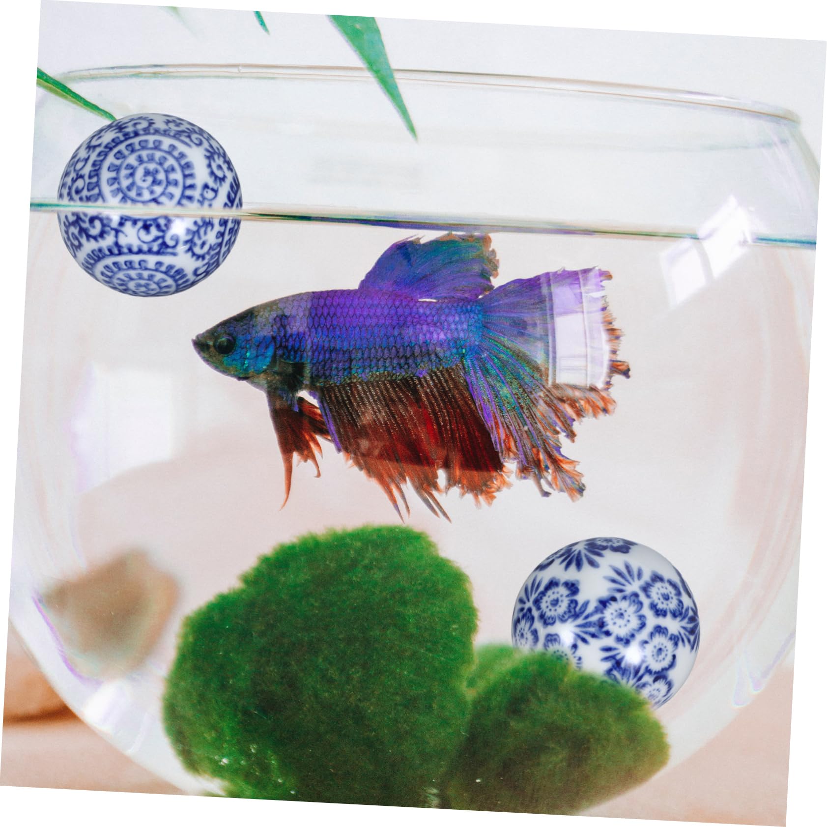 IMIKEYA 5 Sätze Schwimmkugel Aus Keramik Schwimmende Pflanze Dekorationen Für Aquarien Bezauberndes Aquarium-Ornament Betta-Panzer Rattankugeln Dekorative Schale Knospenvasen 3 Stück * 5