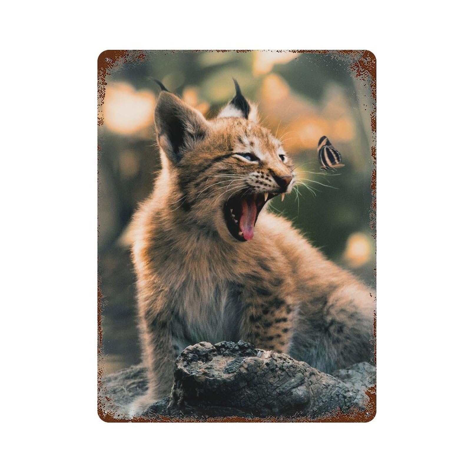 Retro Metal Sign with The Lynx Cub And Butterfly Design 15.7"x11.8", for Living Room, Hallway And Home Decor, Farmhouse Wall Decor