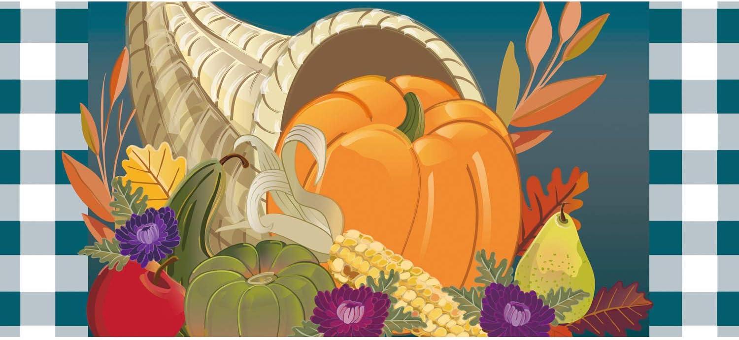 Evergreen Flag Cornucopia with Checks Sassafras Switch Mat 22 x 10