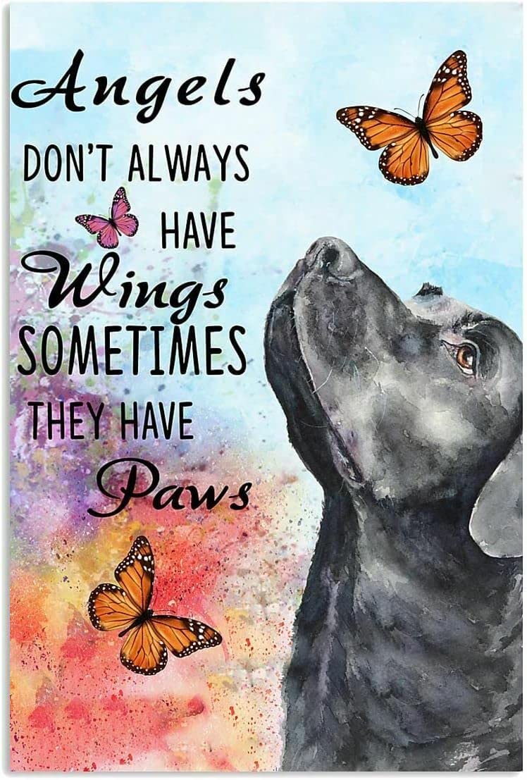 Bonoff Angels Don'T Always Have Wings Labrador Retriever Decor Metal Sign Tin Sign Decor Poster Wall Art Poster 8X12 Inches