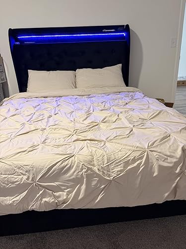 Review Image by Amazon Customer