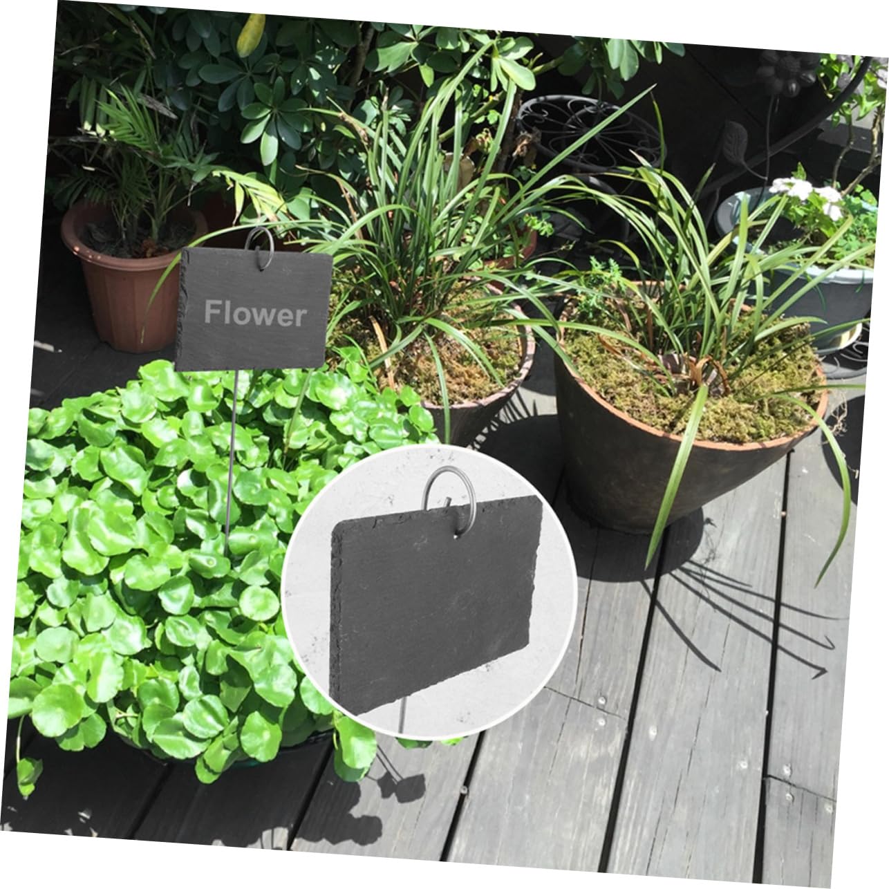 Pflanzenetiketten 12 Stück aus Schiefer, Schwarz, für Garten
