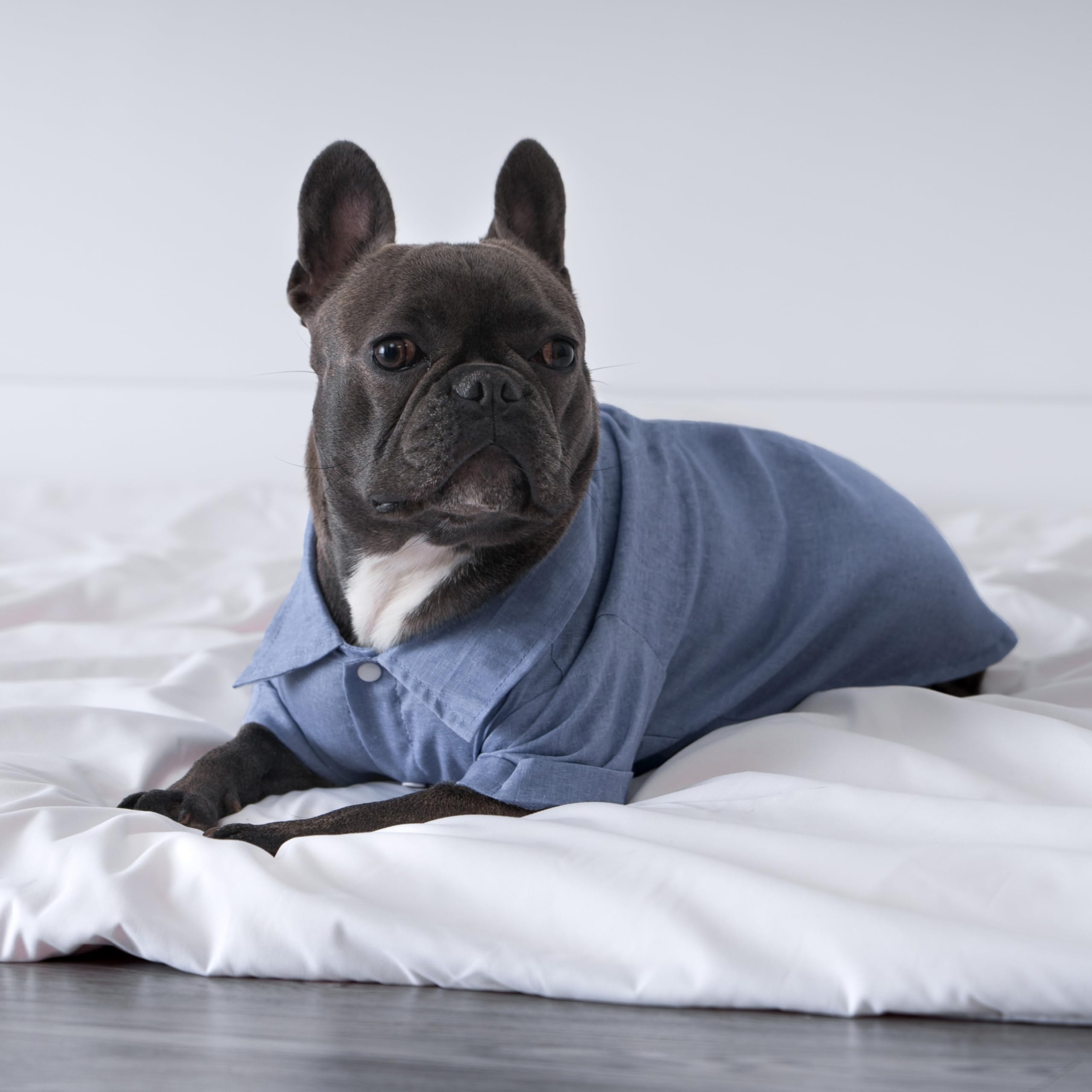 Fitwarm Linen Dog Shirt, Breathable Summer Clothes for Small Dogs Boy, Pet Collared Outfit, Light Blue, Small