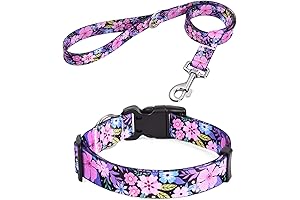 Collar and Leash Set for Girl Dogs and Cats