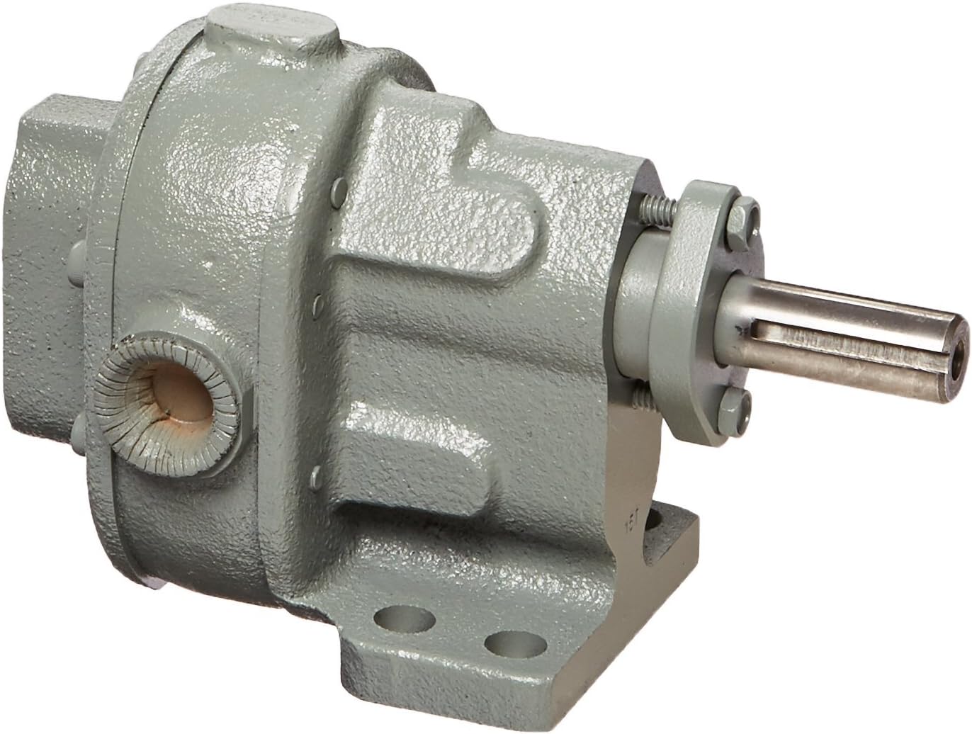 BSM PUMP B-Series 117-713-1-1 Iron 1 Rotary Gear Pump without Relief Valve, 4.6 GPM