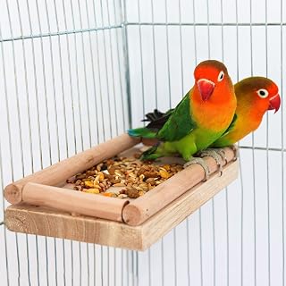 Natural Wooden Parrot Bird Perch Stand, Natural Wooden Bird Cage Stand Pole Accessories, Paw Grinding Standing Climbing Perch for Parrot, Rat, Parakeet, Budgies, Love Birds