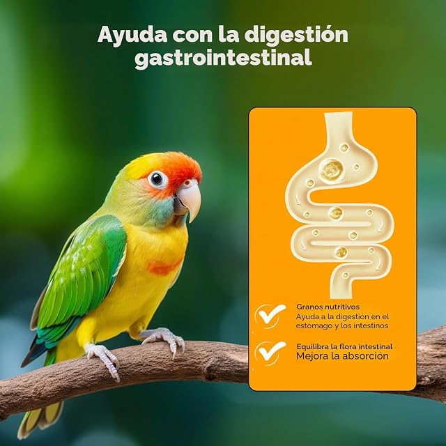 Foto 5 de 7 de Nobleza - (4 * 900g) Alimento Completo para Agapornis, Pienso Premium para Aves, Comida Sana y Sabrosa…