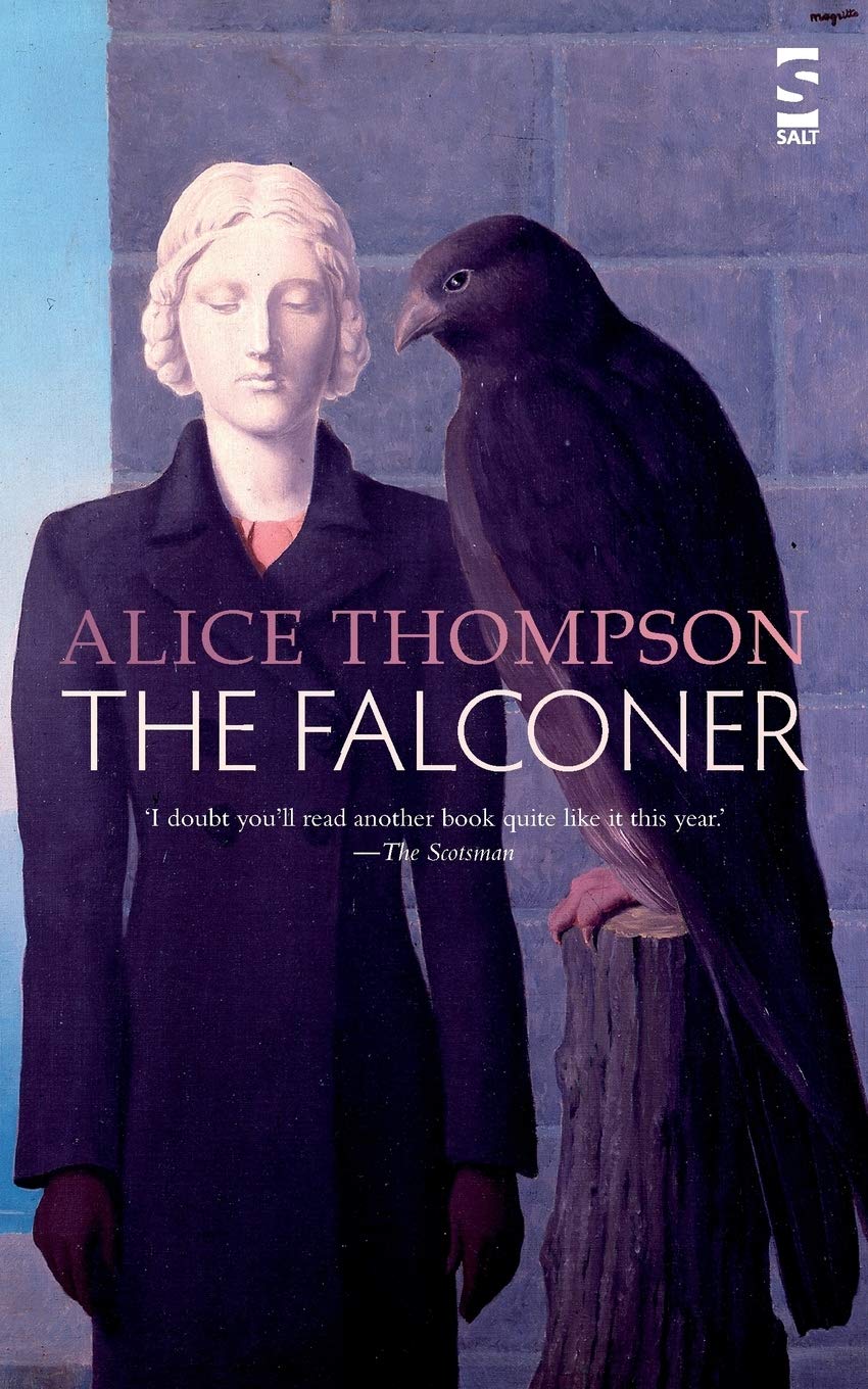 The Falconer (Salt Modern Fiction)