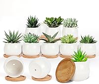 SHECIPIN 12 Pack 2.5 Inch White Ceramic Succulent Pots with Bamboo Tray & Drainage Hole - Mini Planters for Succulents Cacti