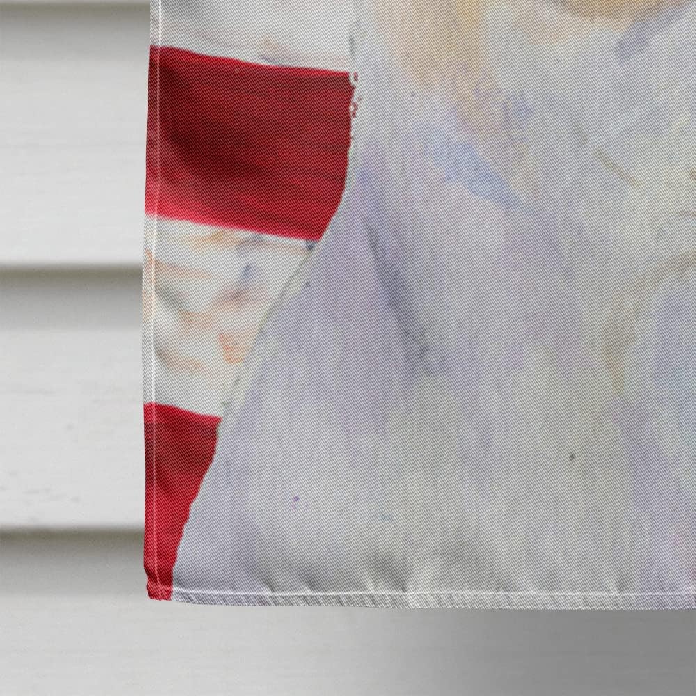 Caroline's Treasures SS4230CHF USA American Flag with Chihuahua Flag Canvas, Large, Multicolor