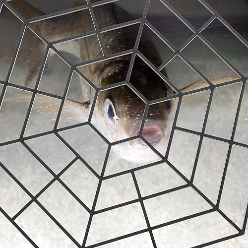 Miniatura 7 de Protectores de estanque, paquete de 10 unidades, red protectora de estanque, protector de peces, garza flotante con 30 conectores