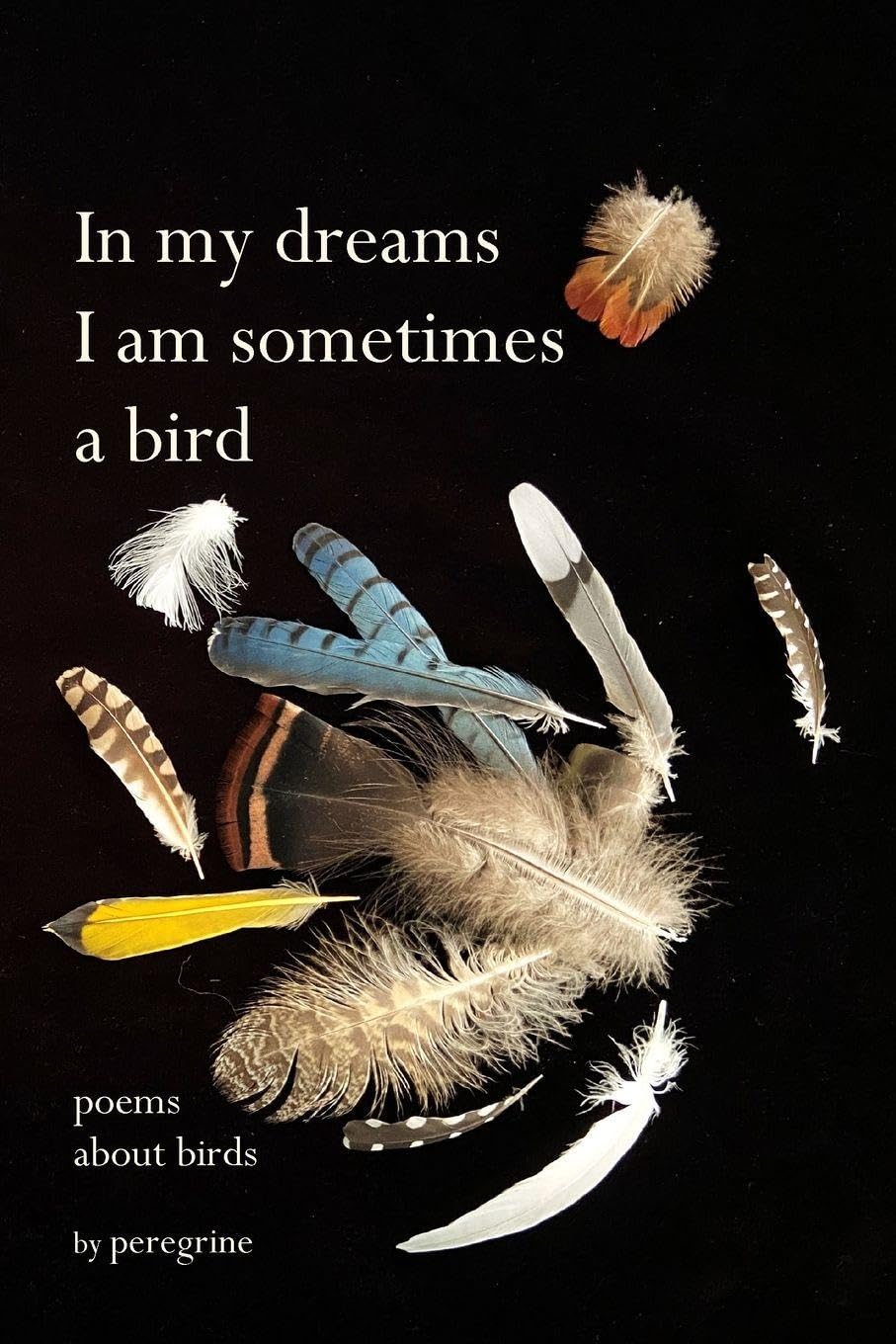 in my dreams I am sometimes a bird: poems about birds      Paperback – January 29, 2026