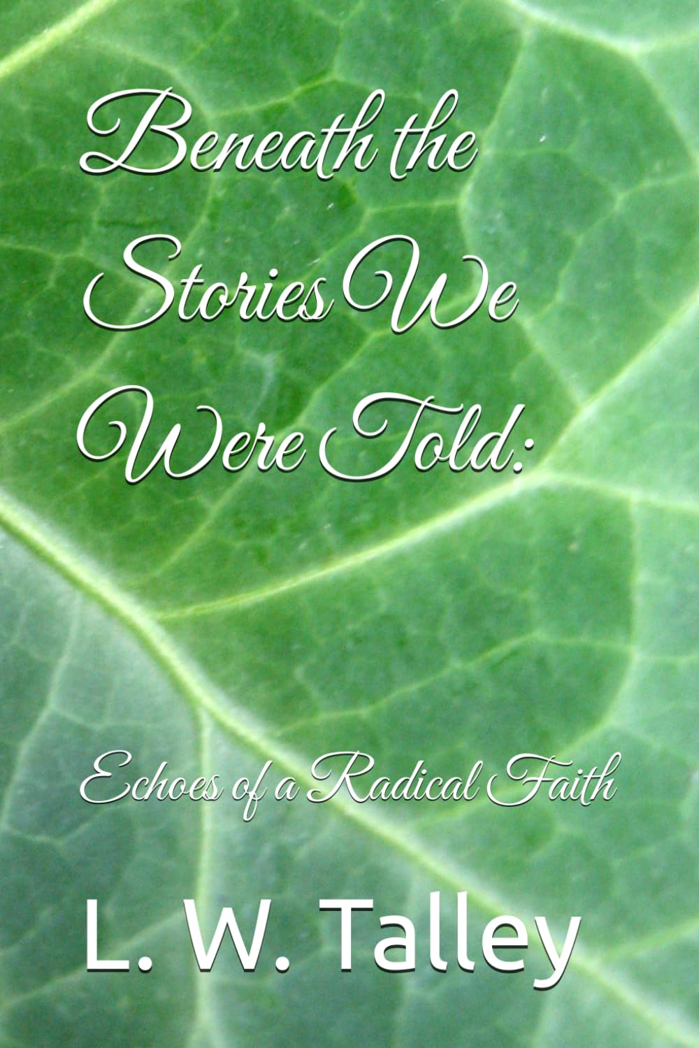 Beneath the Stories We Were Told:: Echoes of a Radical Faith