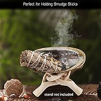 Vista 4 de Wish Well Concha de abulón natural de 4 a 4.5 pulgadas, soporte para incienso y cuenco para manchas de salvia para limpieza, manchas y meditación