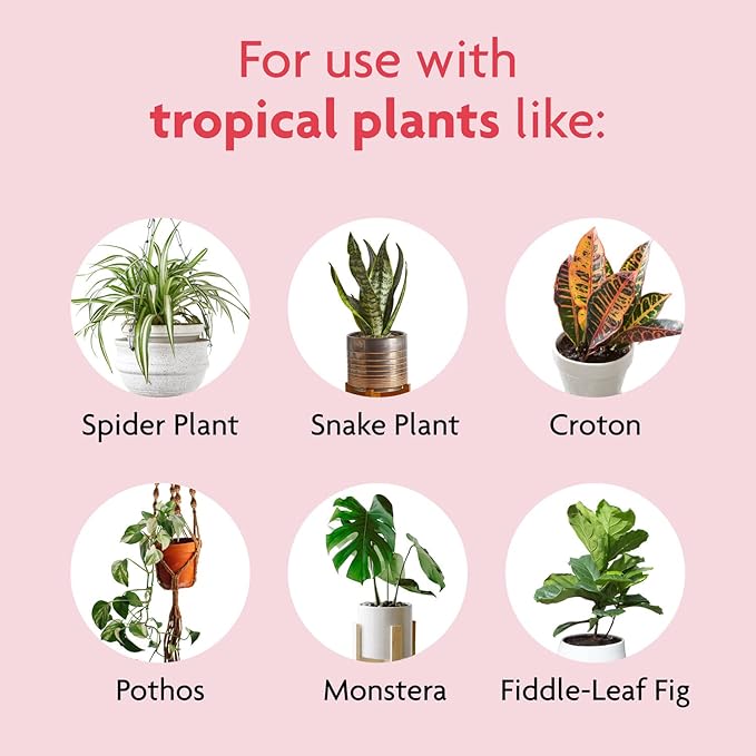 Miracle-Gro Alimento Líquido para Plantas Tropicales de Interior, 236 ml, Paquete de 2 miniatura 5