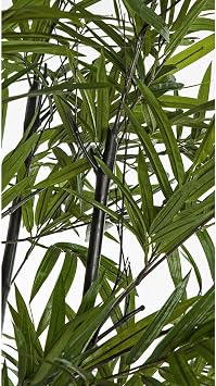 5ft Natural Black Trunk Silk Royal Bamboo Tree w/Pot -Green/Black