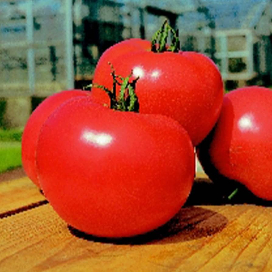 TOMATO　おまとめ商品 Large Red Cherry Tomato Seeds - Productive Heirloom - Sweet