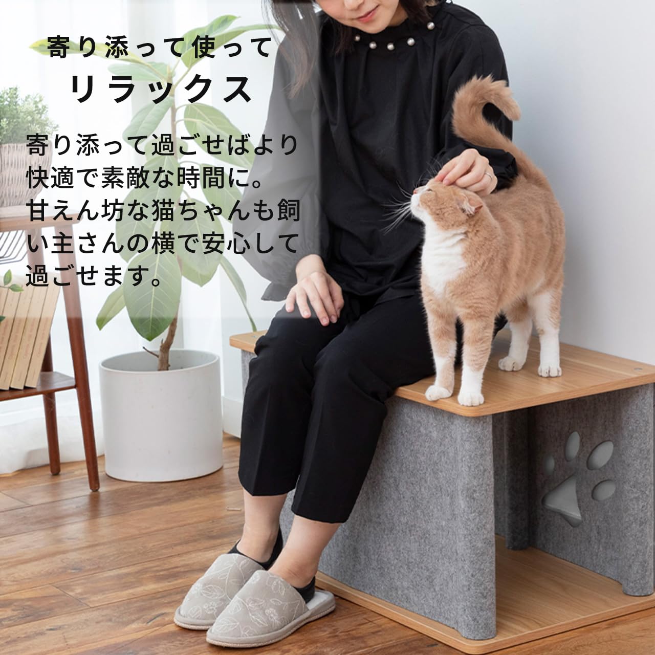 Amazon.co.jp: PET SELECT (ペットセレクト) ニャンコノイエ (トンネル