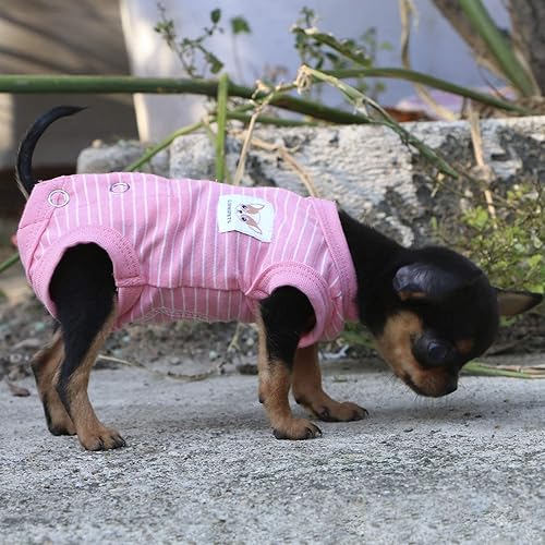 Miniatura 6 de LOPHIPETS Camisas para perras de niña, traje de recuperación, pijamas para perros pequeños, chihuahua, yorkie, ropa de gato, rayas rosadasXS