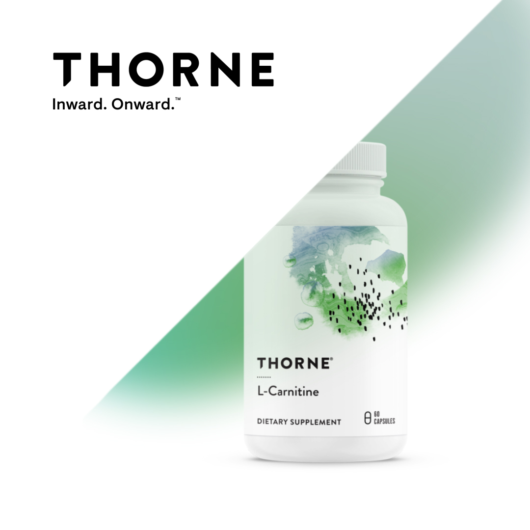 is l carnitine and l carnosine the same carnosine vs l carnitine L-Carnitine 5000 – EC Sports Supplements