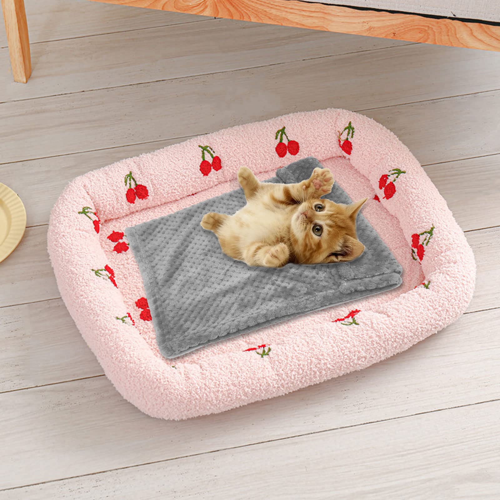 TSHAOUN Couverture douce pour chien et chat - Couverture lavable en polaire moelleuse pour petit chien, chat et chiot - 70 x 50 cm (gris)