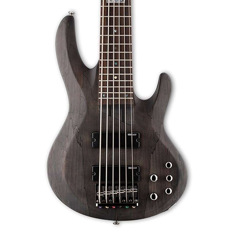 LTD by ESP 6弦ベース B-206SM 6-String Bass Amazon.com: ESP Guitars 5 String ESP LTD B-206SMNS Spalted