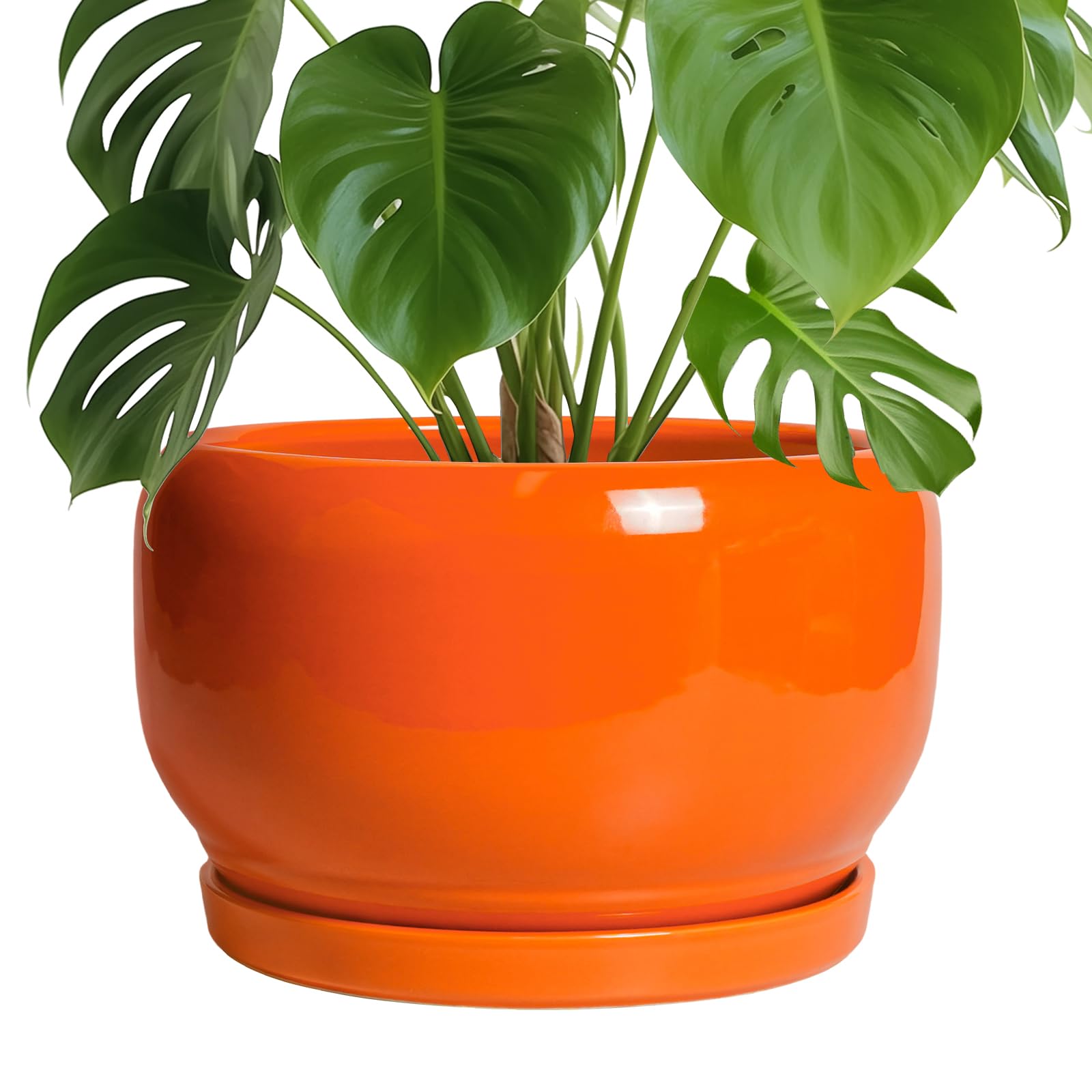 SQOWL 10 Inch Orange Ceramic Planter