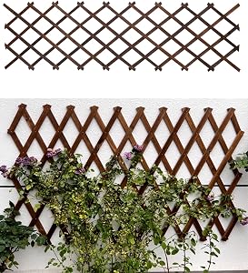 Patio, Lawn & Garden