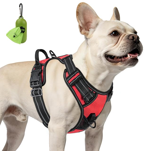 Joytale Arnes Perro Pequeño,Chaleco Reflectante Suave Transpirable para Perro,Arnés con Doble Anilla,Arnés…